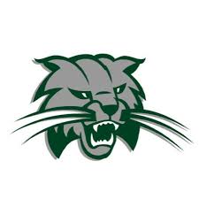 Burley High School logo