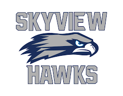 Skyview High School logo