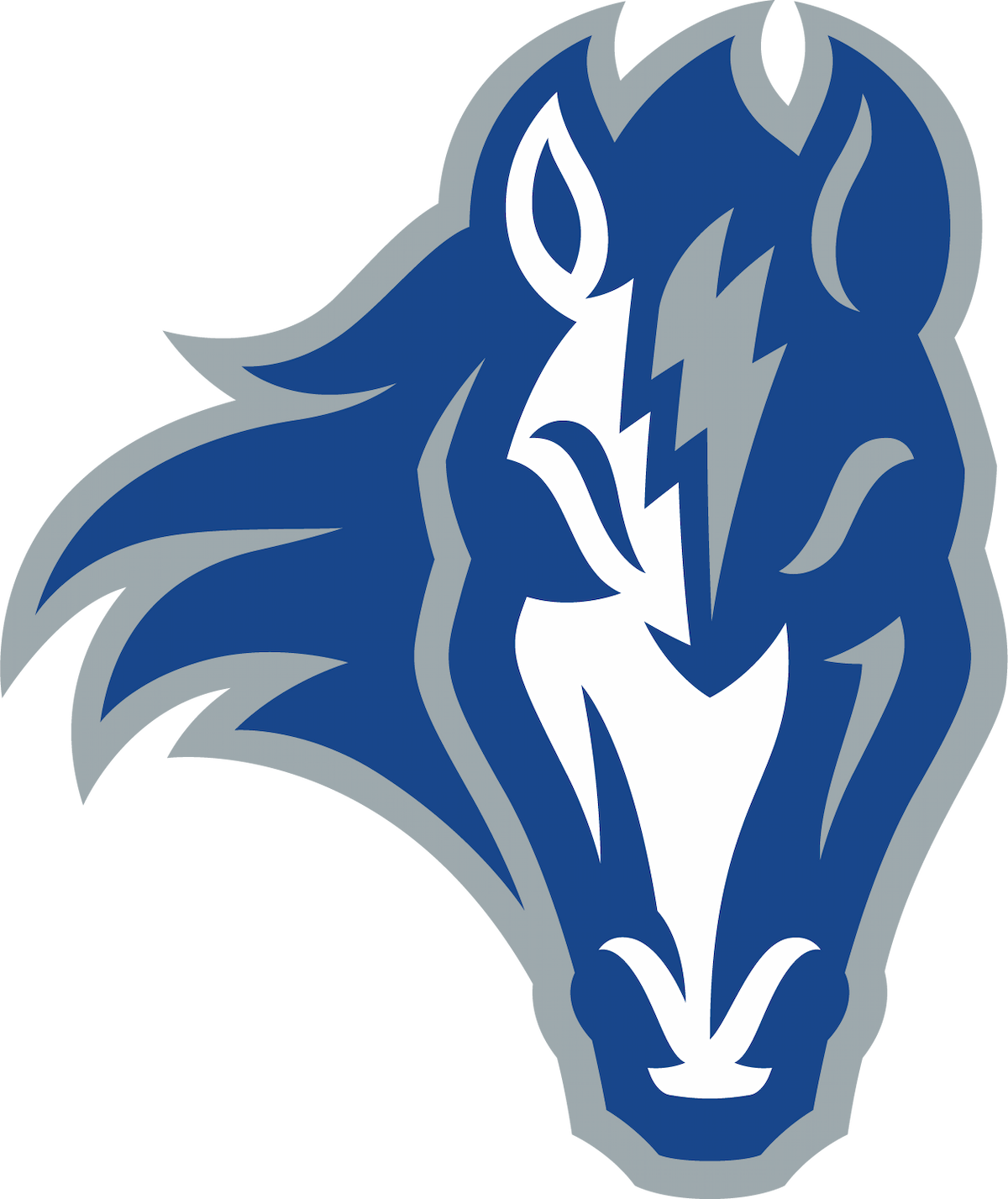 Cole Valley Christian High School