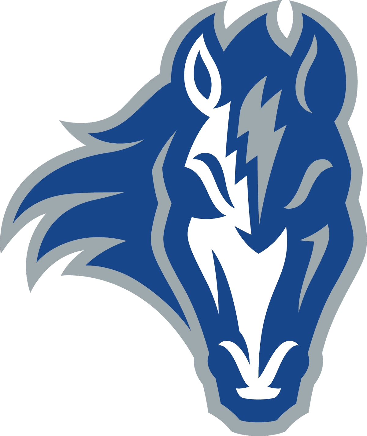 Cole Valley Christian High School