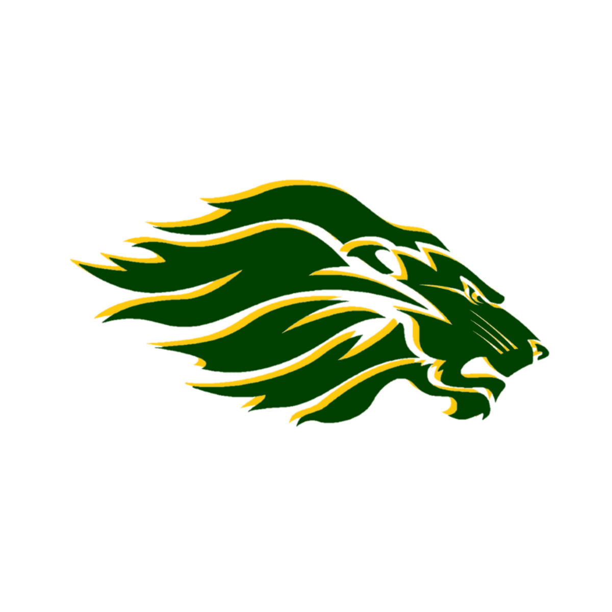 Borah High School