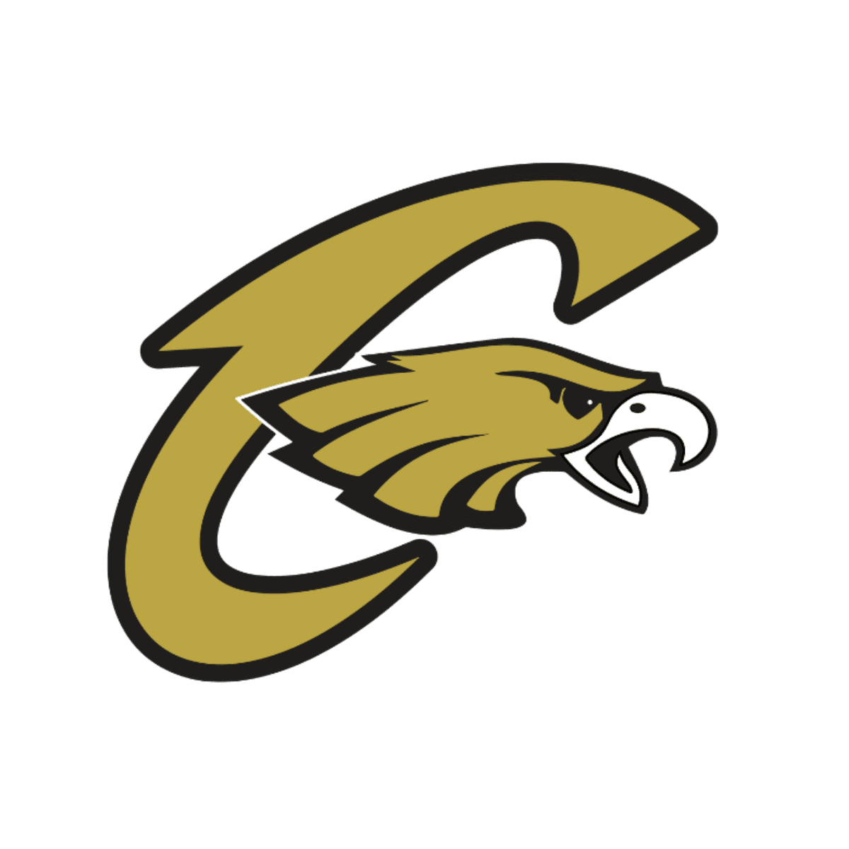 Capital High School
