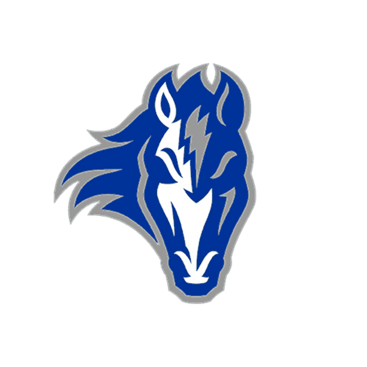Cole Valley Christian High School