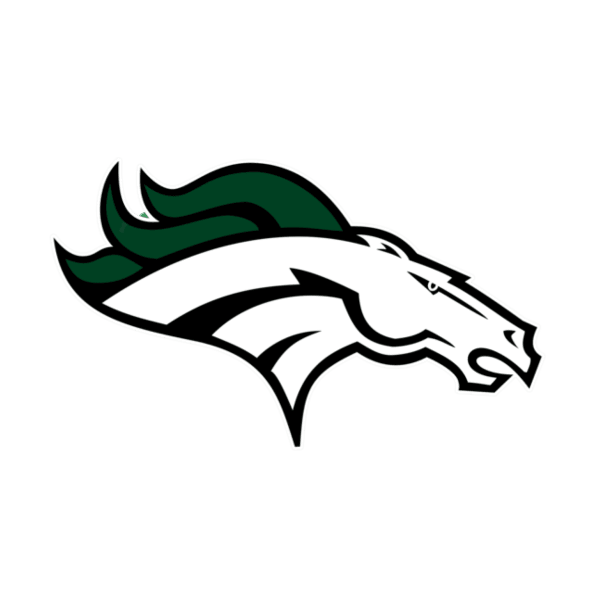 Eagle High School