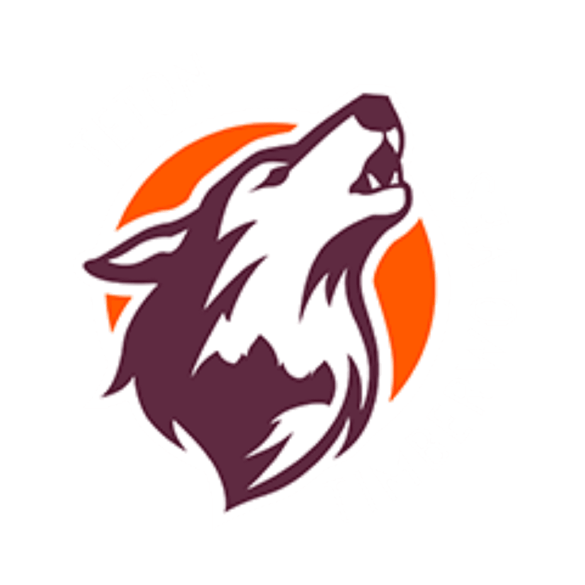 Teton High School