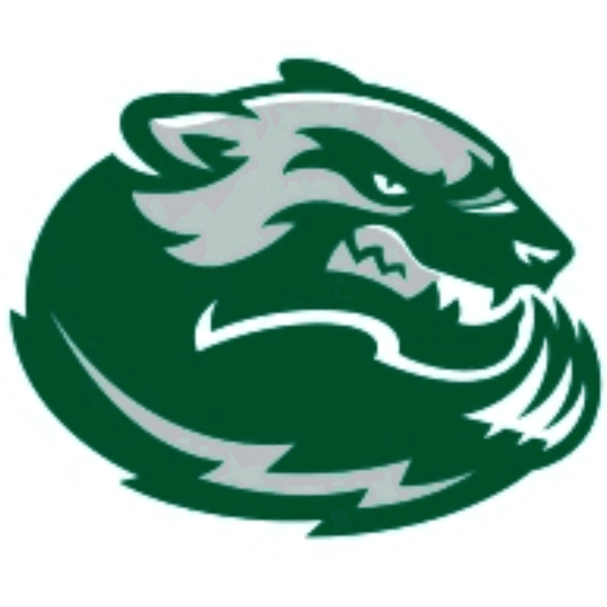 Wood River High School