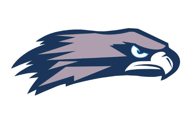 Skyview High School