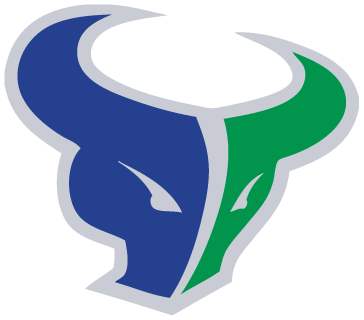 Mountain View High School logo