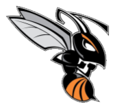 Declo High School logo