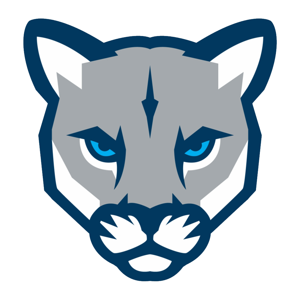 Firth High School logo