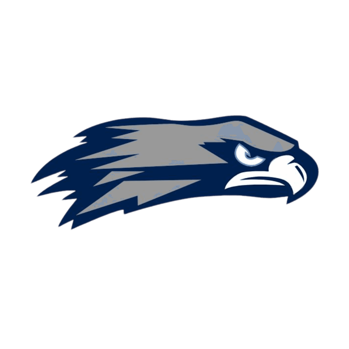 Skyview High School