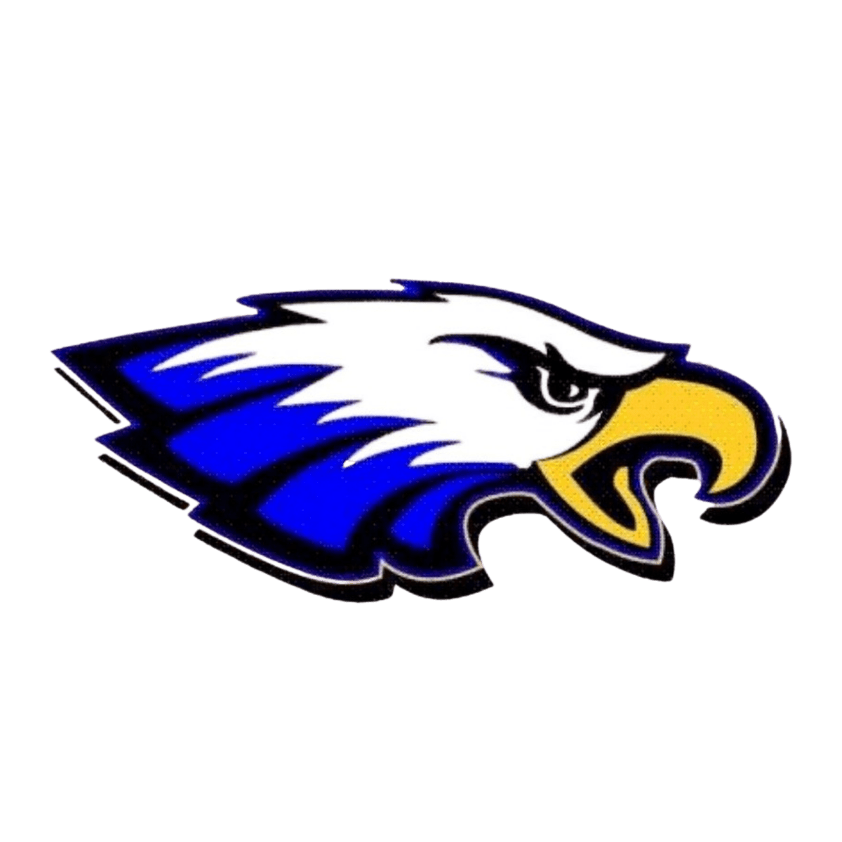 Marsh Valley High School