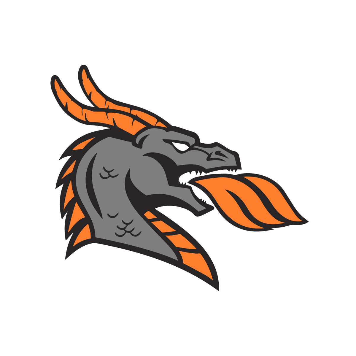 Malad High School