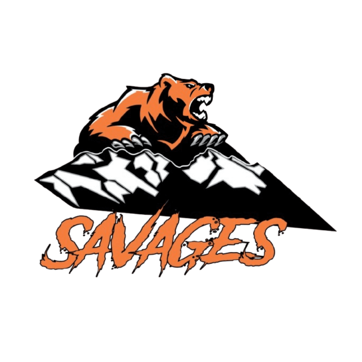 Salmon High School