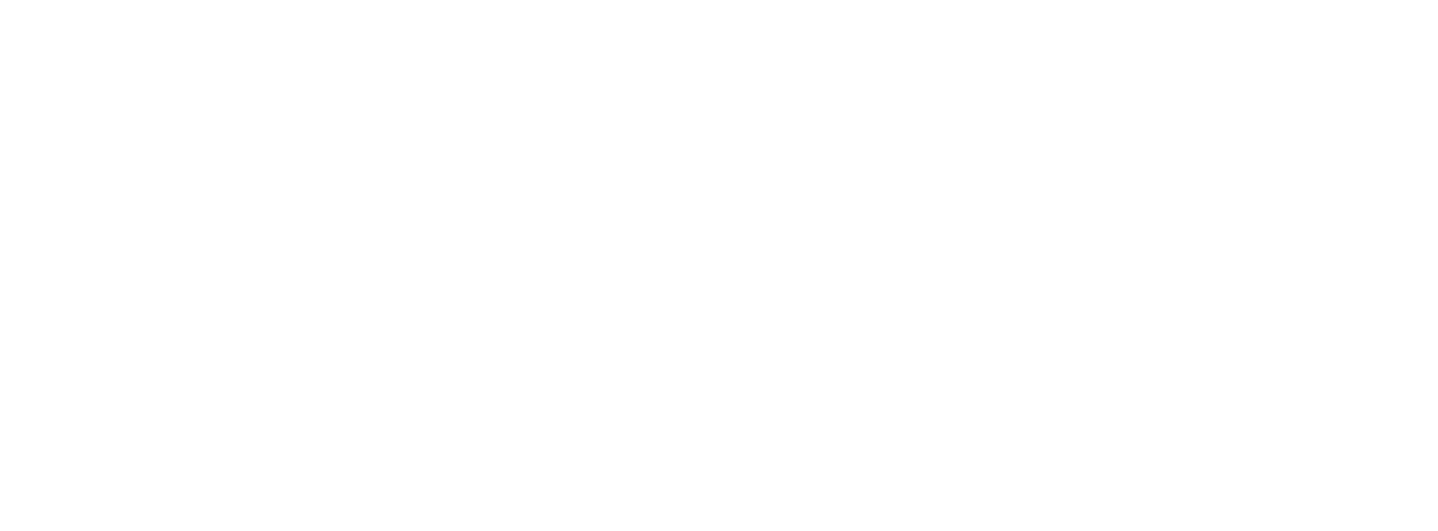 FLOWW Network TV Logo