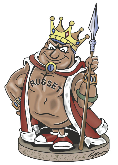 Shelley High School logo